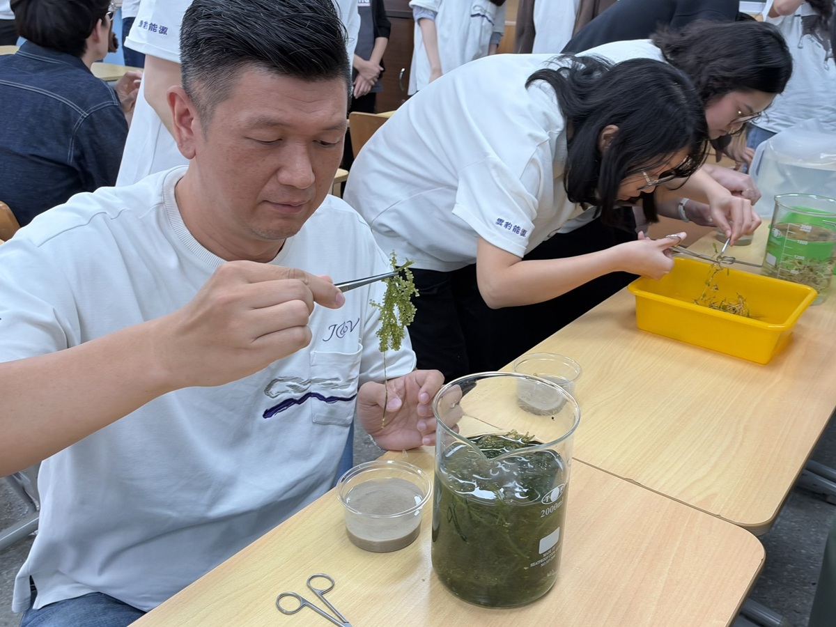 志工們透過海草瓶實作，將親手種植的海草帶回辦公室照顧，培育約一個月、待嫩芽長出後，再由專業團隊帶回澎湖海域回植。
